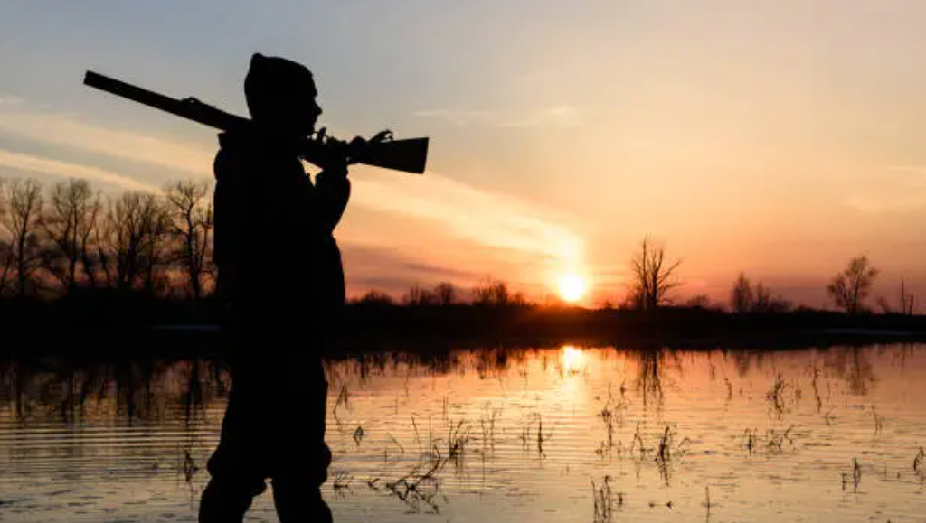 Autumn forest hunting, the joy of rural America